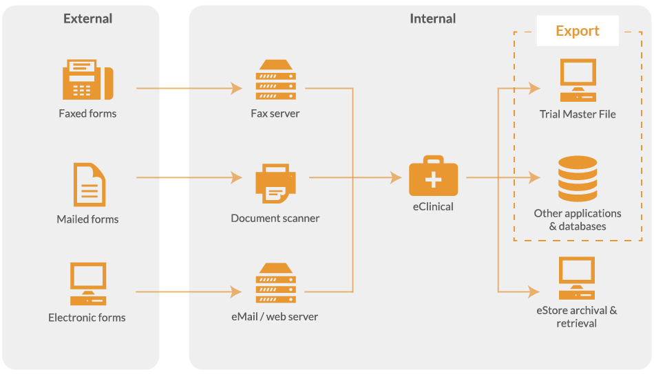 export-study-data